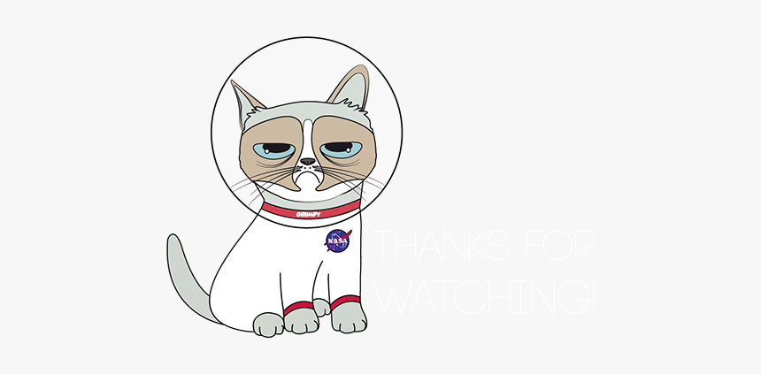 Cat Yawns, HD Png Download