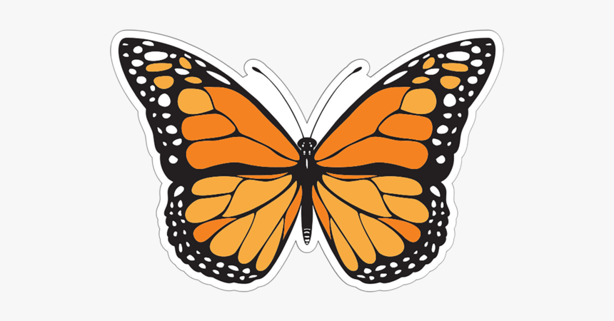 Butterfly Patch - Different Colours Of Butterfly, HD Png Download