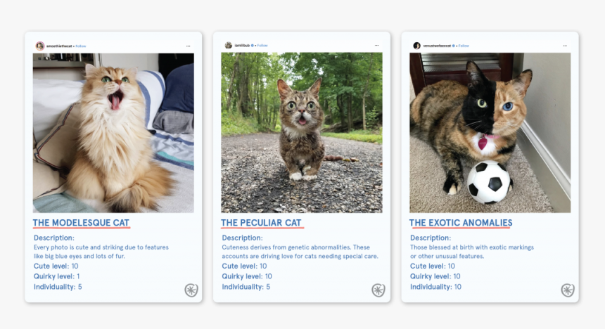 Catfluencers Types - Cat Yawns, HD Png Download