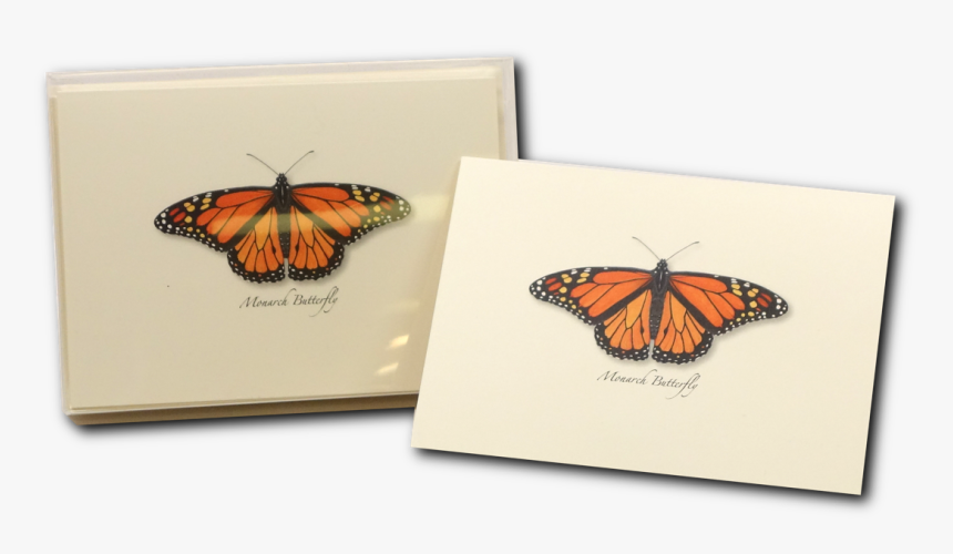 Monarch Butterfly, HD Png Download