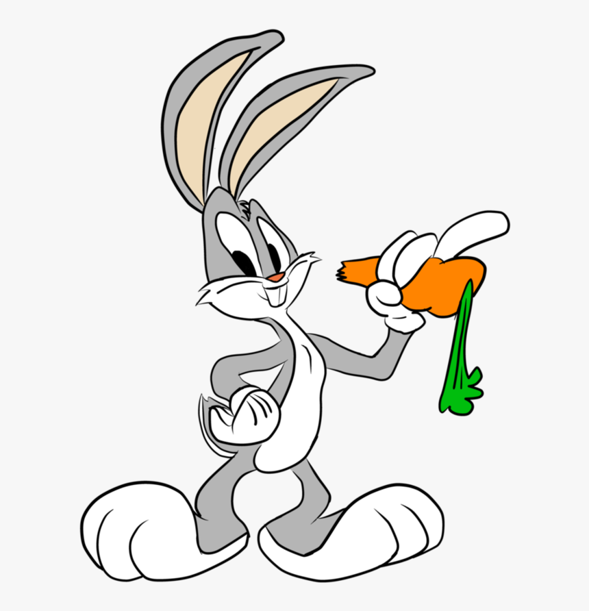 Daffy Duck Duck Cartoon Drawings, HD Png Download