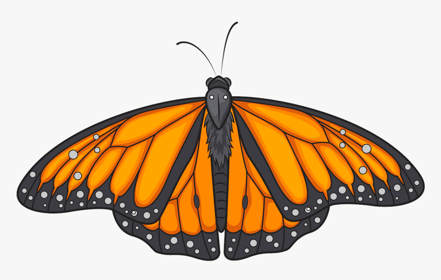 Angangueo, HD Png Download