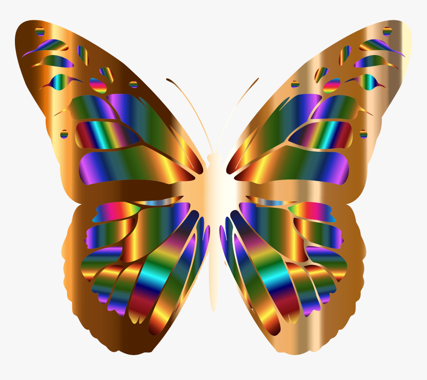 Beautiful Butterfly Clip Art, HD Png Download
