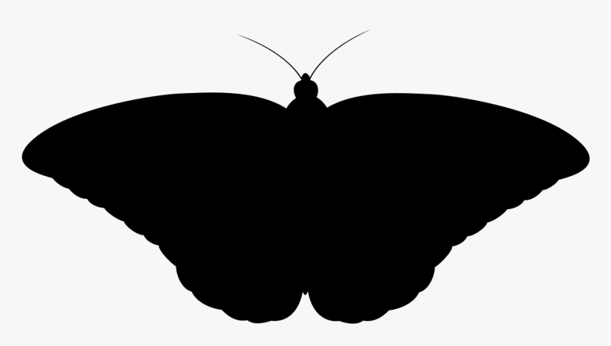 Monarch Butterfly Ii Silhouette - Mariposa Monarca Png, Transparent Png