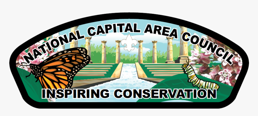 Monarch Butterfly, HD Png Download