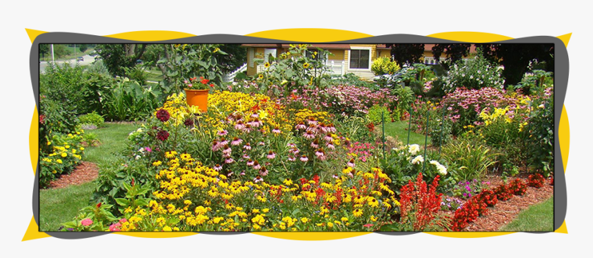 Monarch Butterfly Garden, HD Png Download