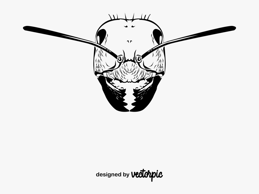 Illustration, HD Png Download