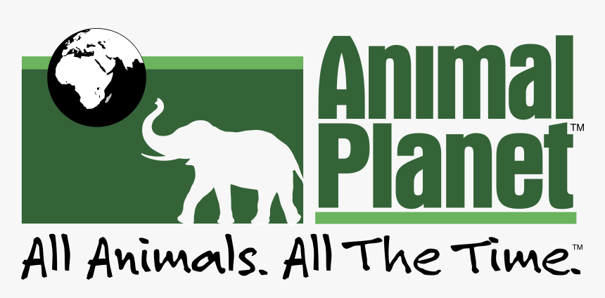 Animal Planet, HD Png Download
