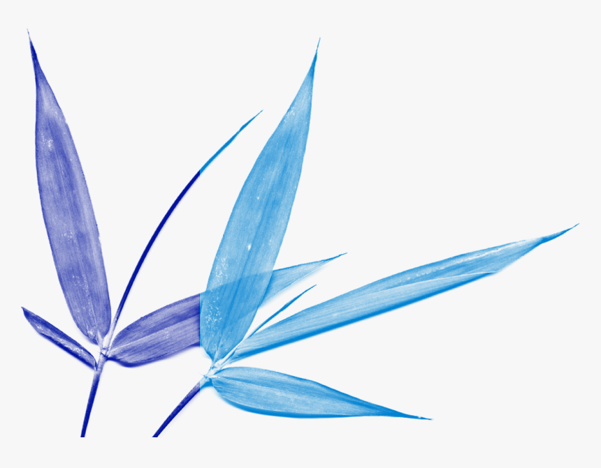 Propinquity Vibrational Essences Address The Full Spectrum, HD Png Download