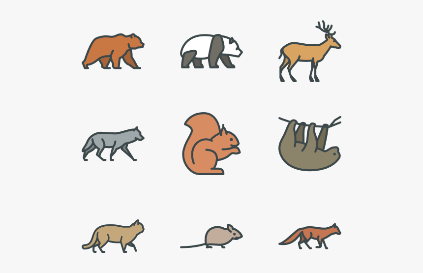 Clip Art Forest Animals Pictures - Forest Animals Icons, HD Png Download