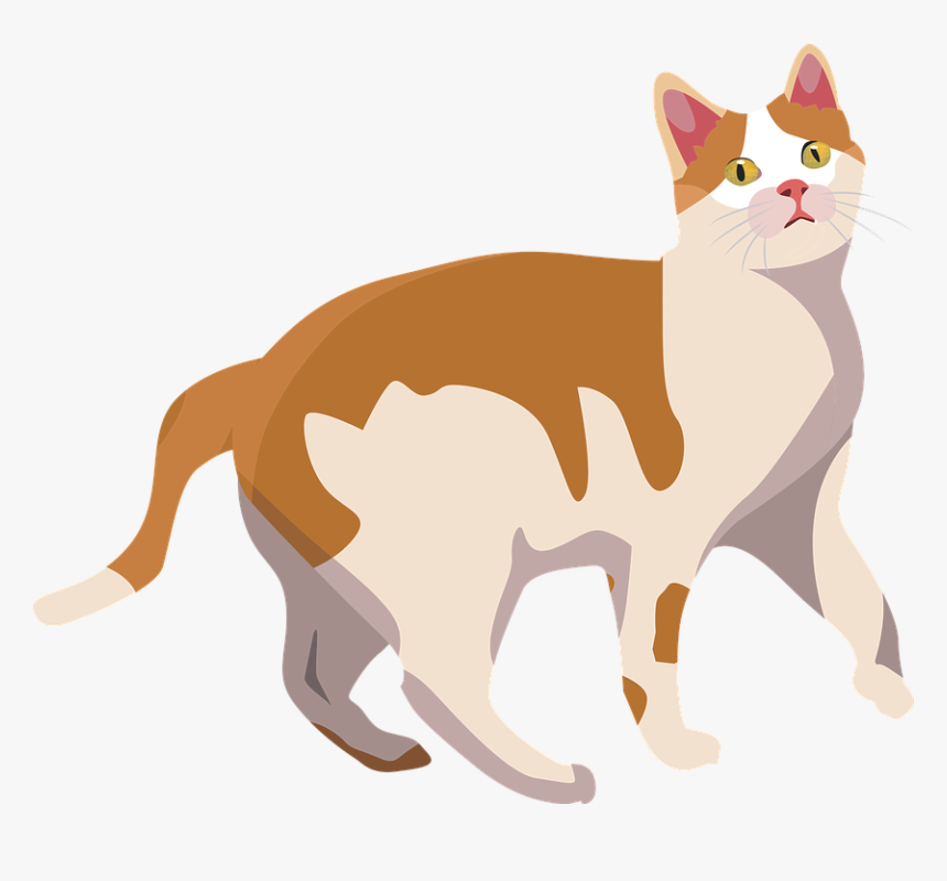 Cat Animal Mammal Cute Pet Kitten Domestic - Vector Cute Dog Cat Graphics, HD Png Download