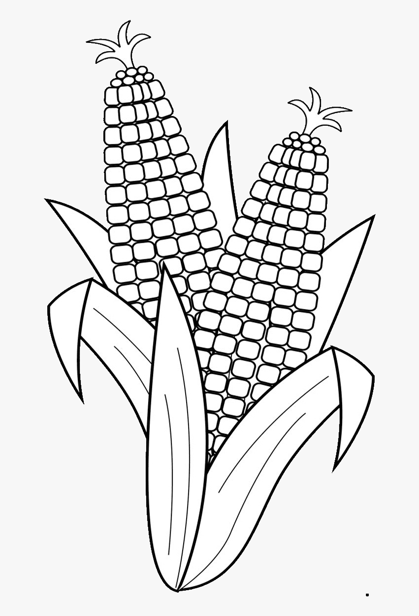 15 Surprising Corn Clipart For Free - Fruits And Vegetables Clipart Black And White, HD Png Download