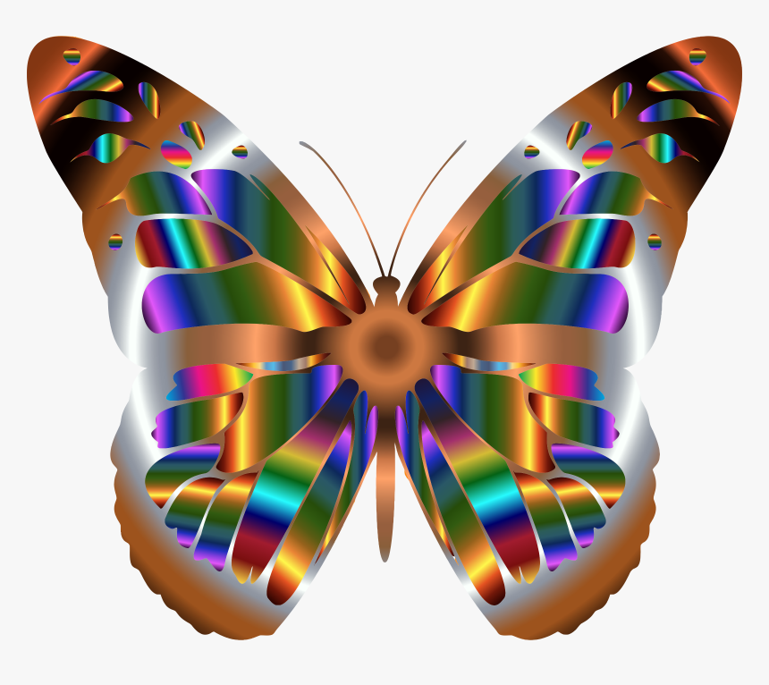 Iridescent Monarch Butterfly 6 Clip Arts - Real Rainbow Monarch Butterfly, HD Png Download
