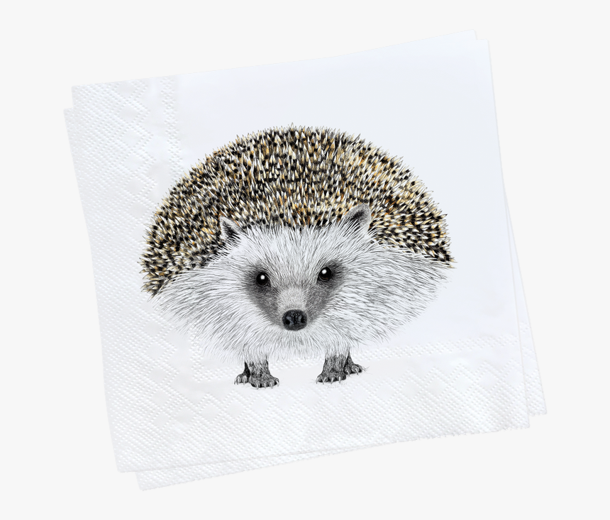 Henry Napkin Web 1000x - Domesticated Hedgehog, HD Png Download