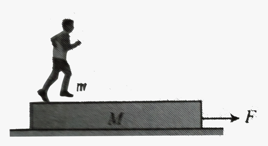 Monochrome, HD Png Download