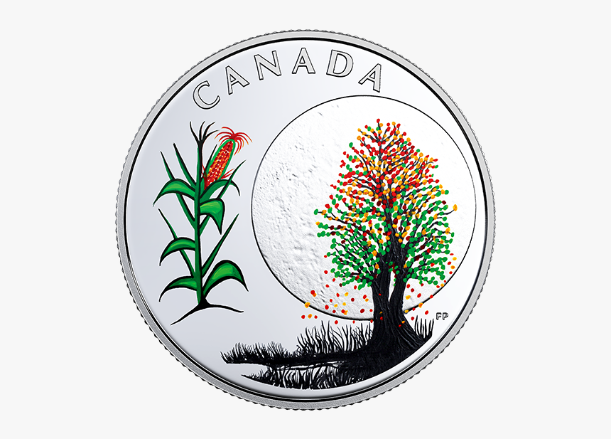 13 Teachings From Grandmother Moon, HD Png Download