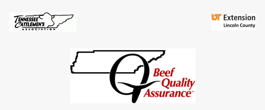Bqa Certification - Calligraphy, HD Png Download