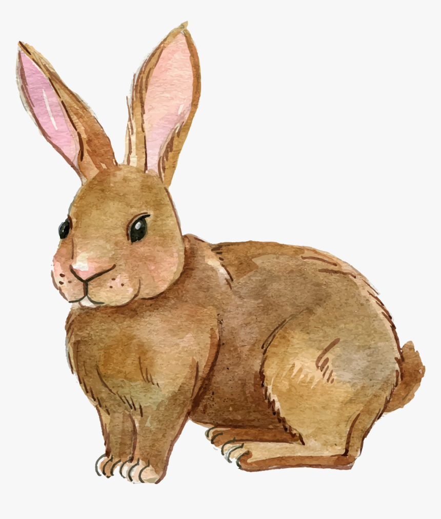 Transparent Alice In Wonderland Rabbit Png - Rabbit Clipart Transparent, Png Download