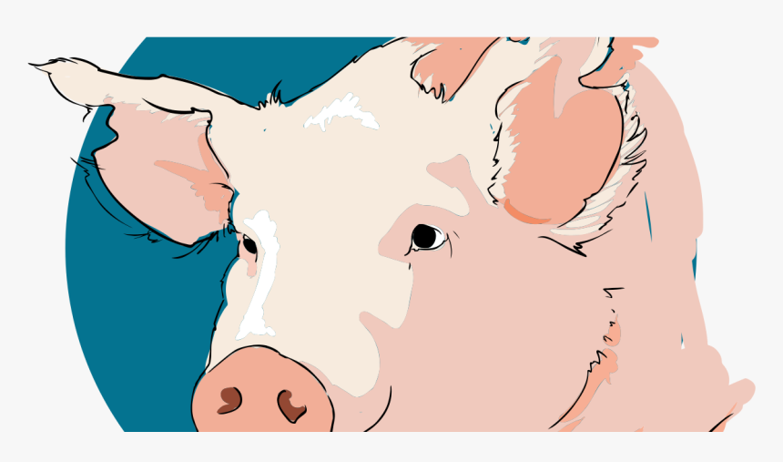 Transparent Stuart Little Clipart - Tete De Porc Dessin, HD Png Download