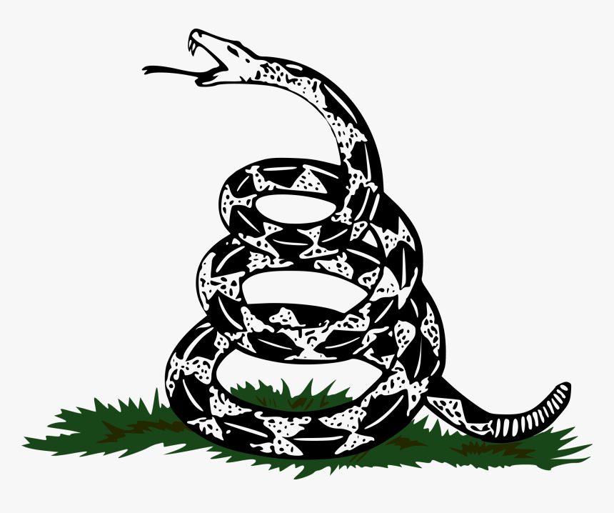 Aazon.co: Pair (2) Of Dont Tread On E Flag Eble - 3D Gadsden Flag - Foto 2