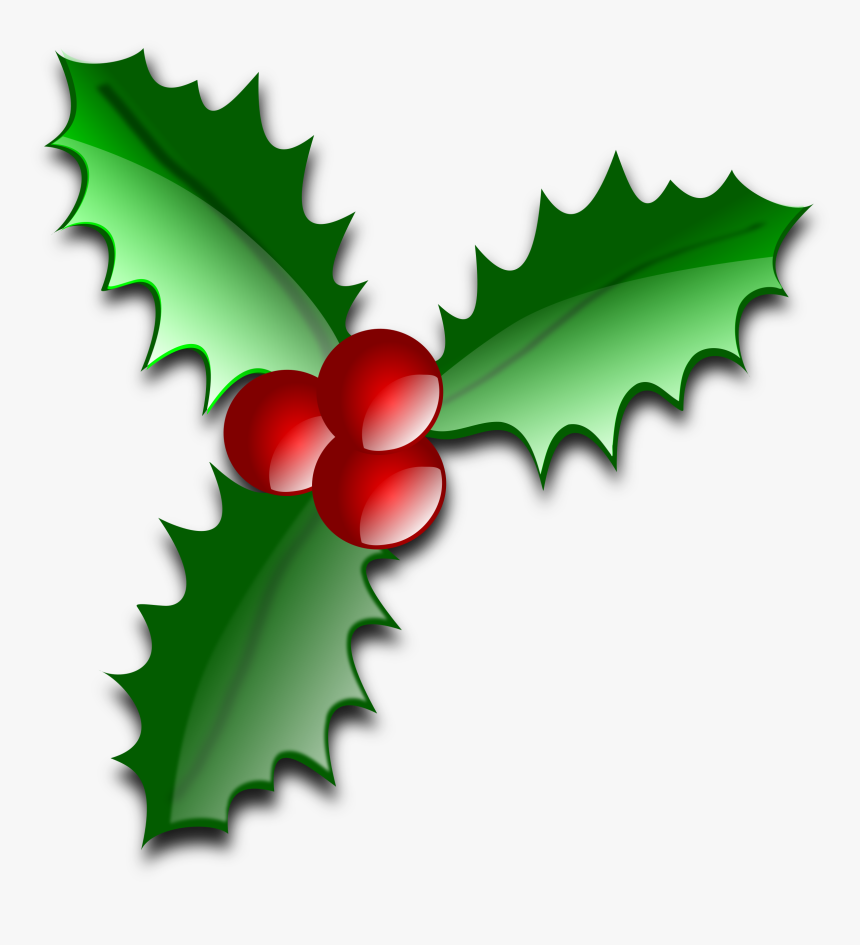 Clip Art Holiday Border Jpg - Leaves Of Christmas Tree, HD Png Download