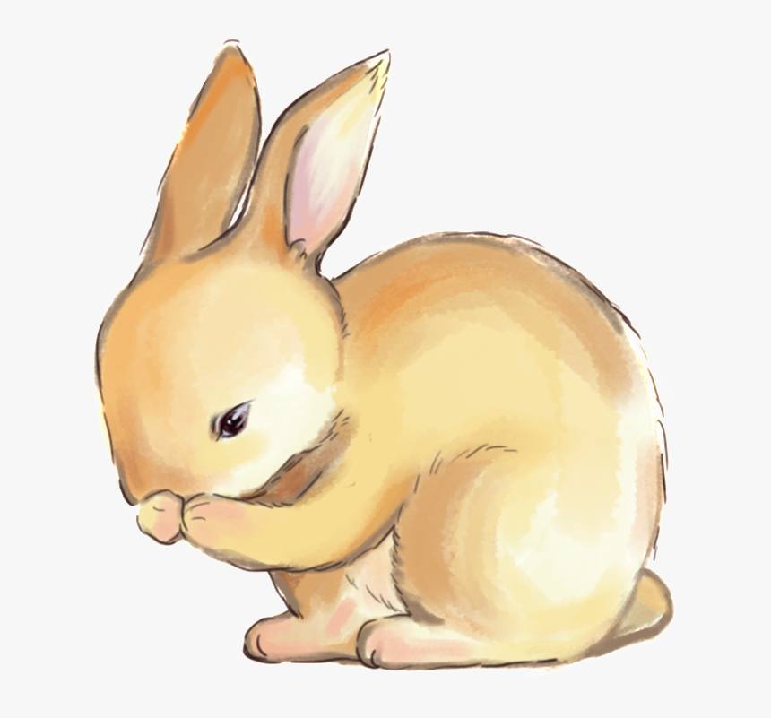 Hand Drawn Rabbit Png - Hare, Transparent Png