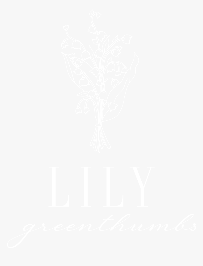 Johns Hopkins White Logo, HD Png Download