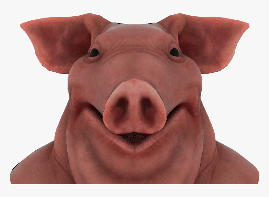 Pig Texture Houdini, HD Png Download