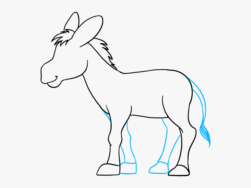 Transparent Donkey Head Clipart - Draw A Donkey Face, HD Png Download