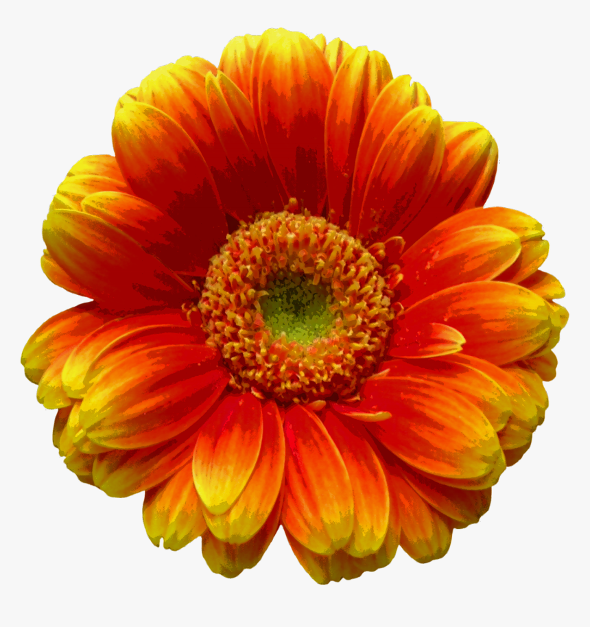 Portable Network Graphics, HD Png Download