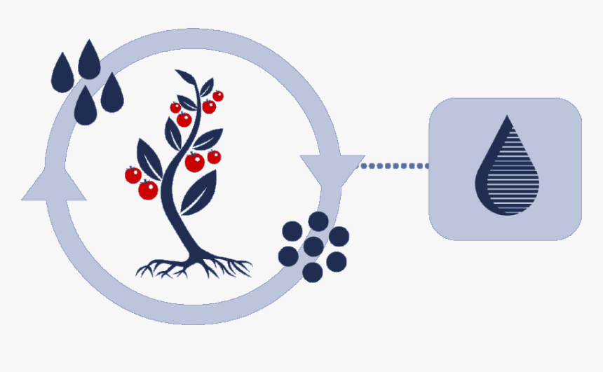 Illustration, HD Png Download