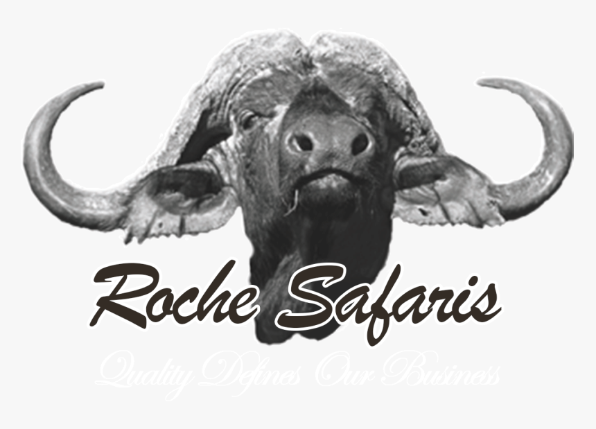 Logo Roche Safaris - Upper Room Christian School Logo, HD Png Download