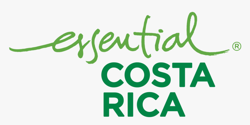 Costa Rica Logo - Costa Rica No Artificial Ingredients, HD Png Download