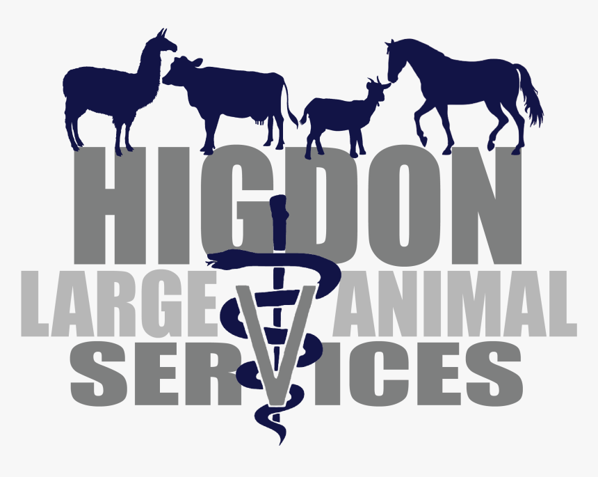 Hlas Logo - Mane, HD Png Download