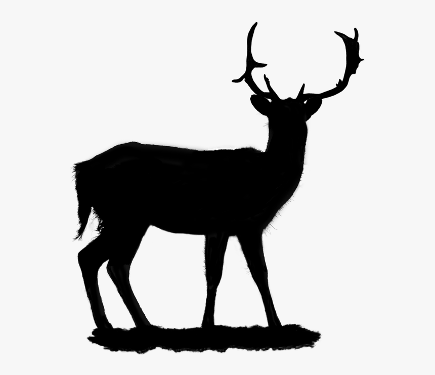 Portable Network Graphics Vector Graphics Clip Art - Deer Silhouette, HD Png Download