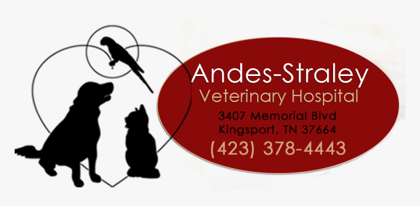 Veterinarian In Kingsport, Tn 
				src Https - Silhouette, HD Png Download