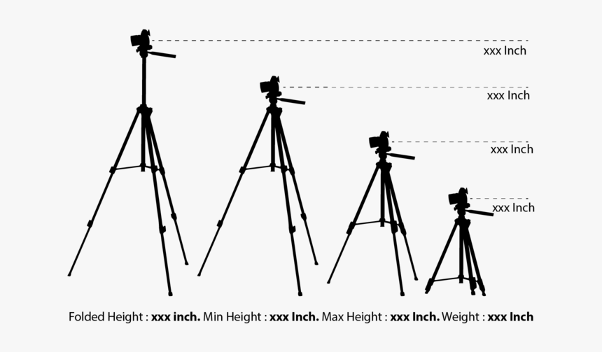 Silhouette Camera Tripod - Video Camera, HD Png Download
