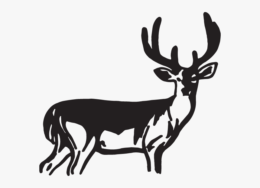 Decal Reindeer Sticker Elk, HD Png Download