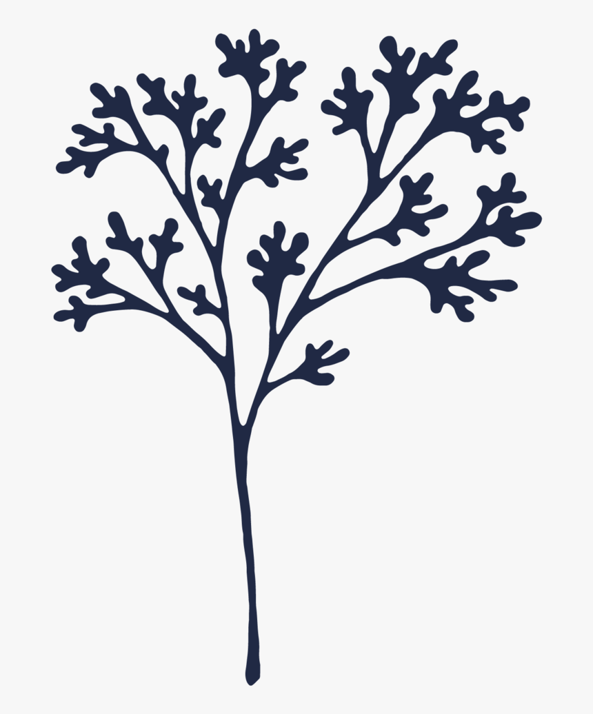 Botanical Elements-08 - Silhouette, HD Png Download