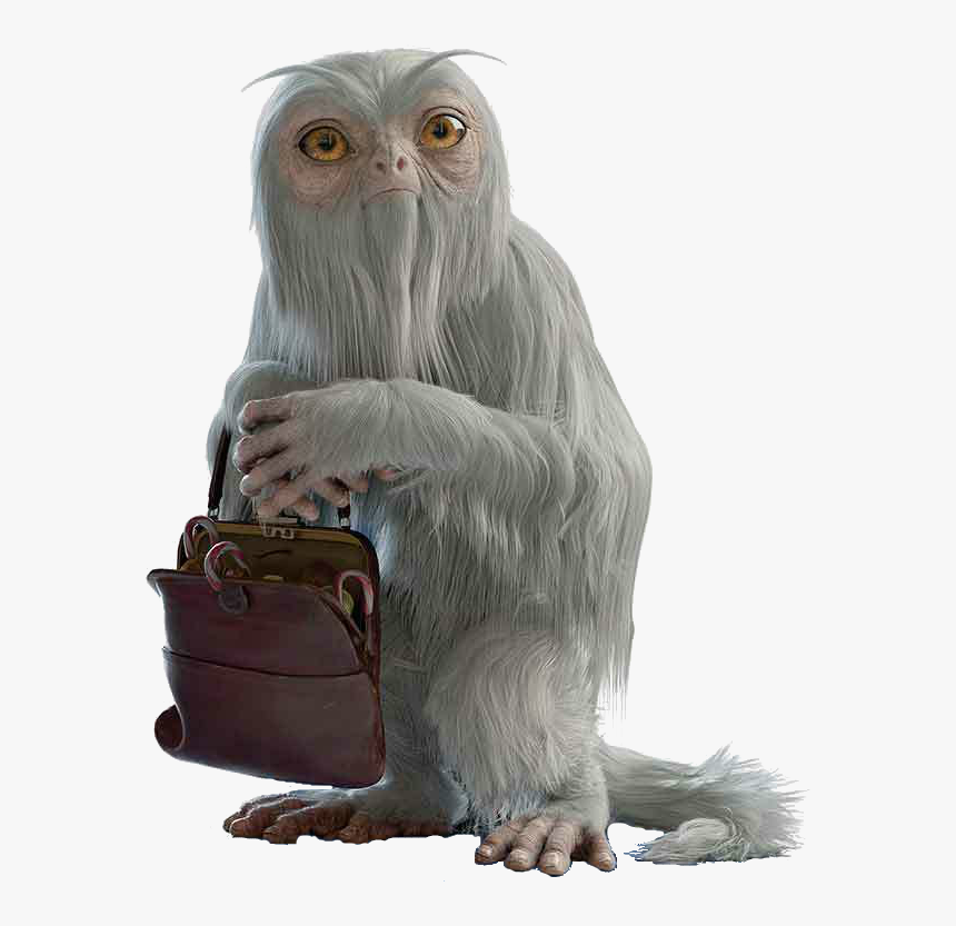 Fantastic Png, Transparent Png