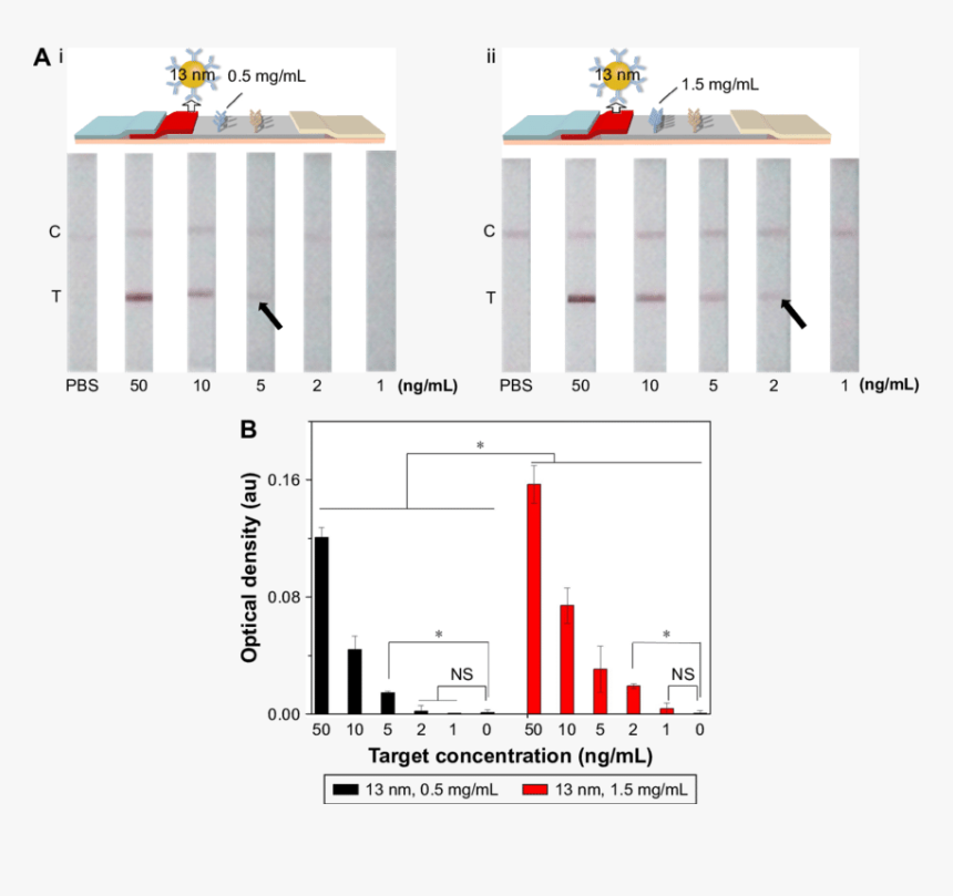 The Effect Of Antibody Concentration At The Test Line - Architecture, HD Png Download