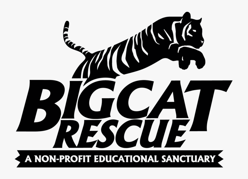 Big Cat Rescue - Big Cat Rescue Tampa Logo, HD Png Download