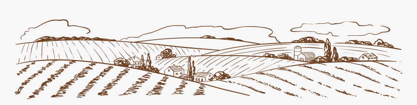 Drawing Of Agriculture, HD Png Download