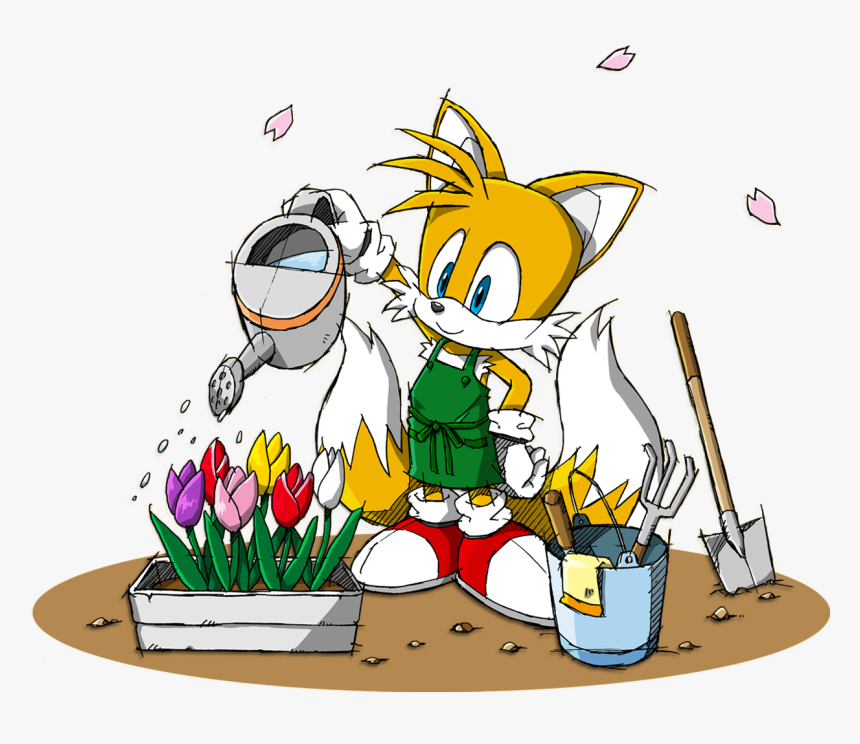 Miles Tails Prower Sonic Channel, HD Png Download