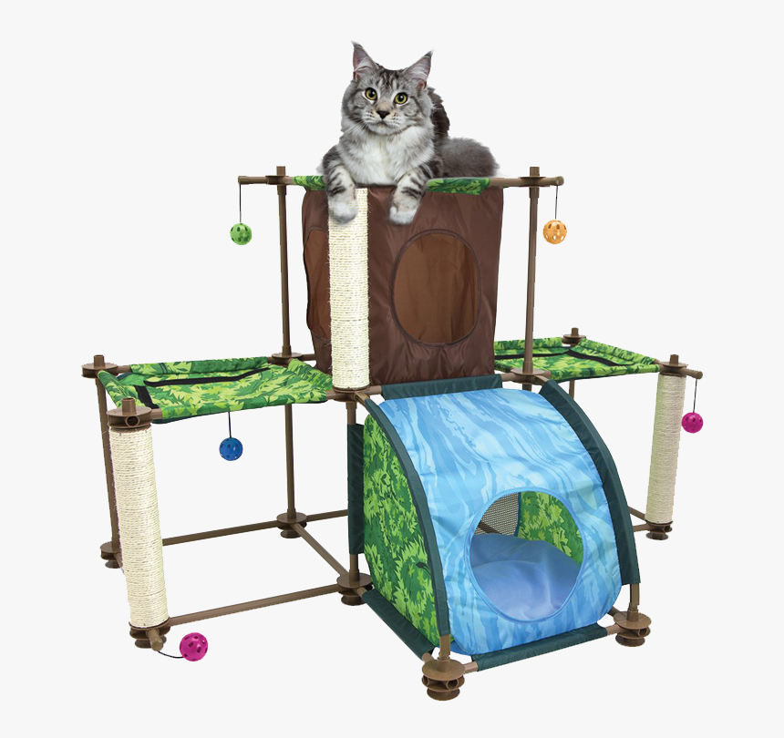 Zoombezi Logo - Domestic Short-haired Cat, HD Png Download