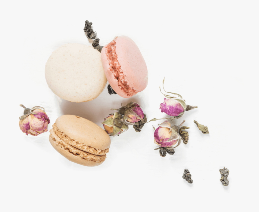 Earrings, HD Png Download