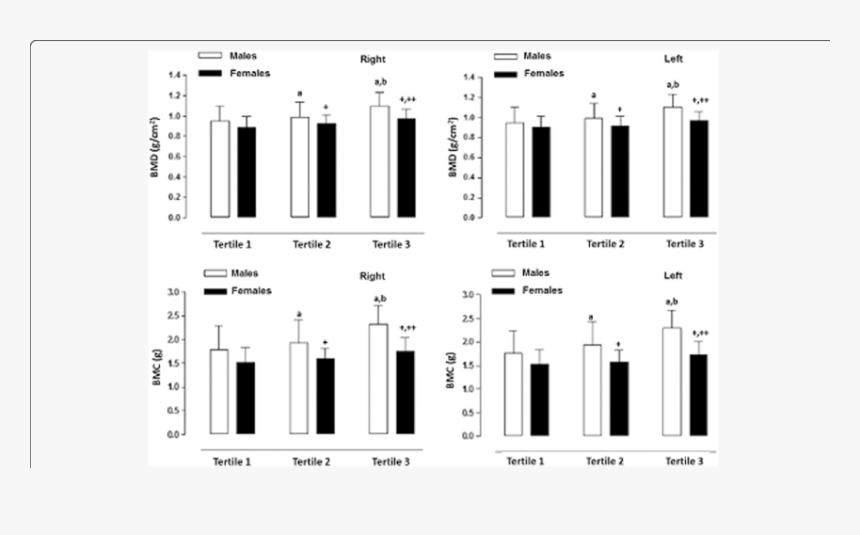 Screenshot, HD Png Download