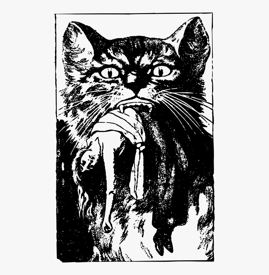 Cat Bites Woman - Cat, HD Png Download