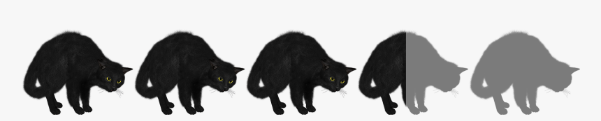Black Cat, HD Png Download