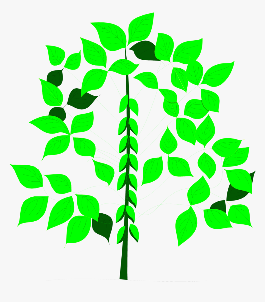 Soy Bean Free Stock Photo Illustration Of - Li 6400 Li Cor, HD Png Download